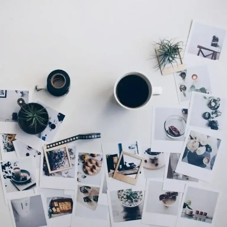 Fotografía de recuerdos con fotos, café, plantas y objetos decorativos para preservar momentos especiales.